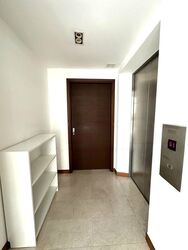 Residences @ Evelyn (D11), Condominium #604857541
